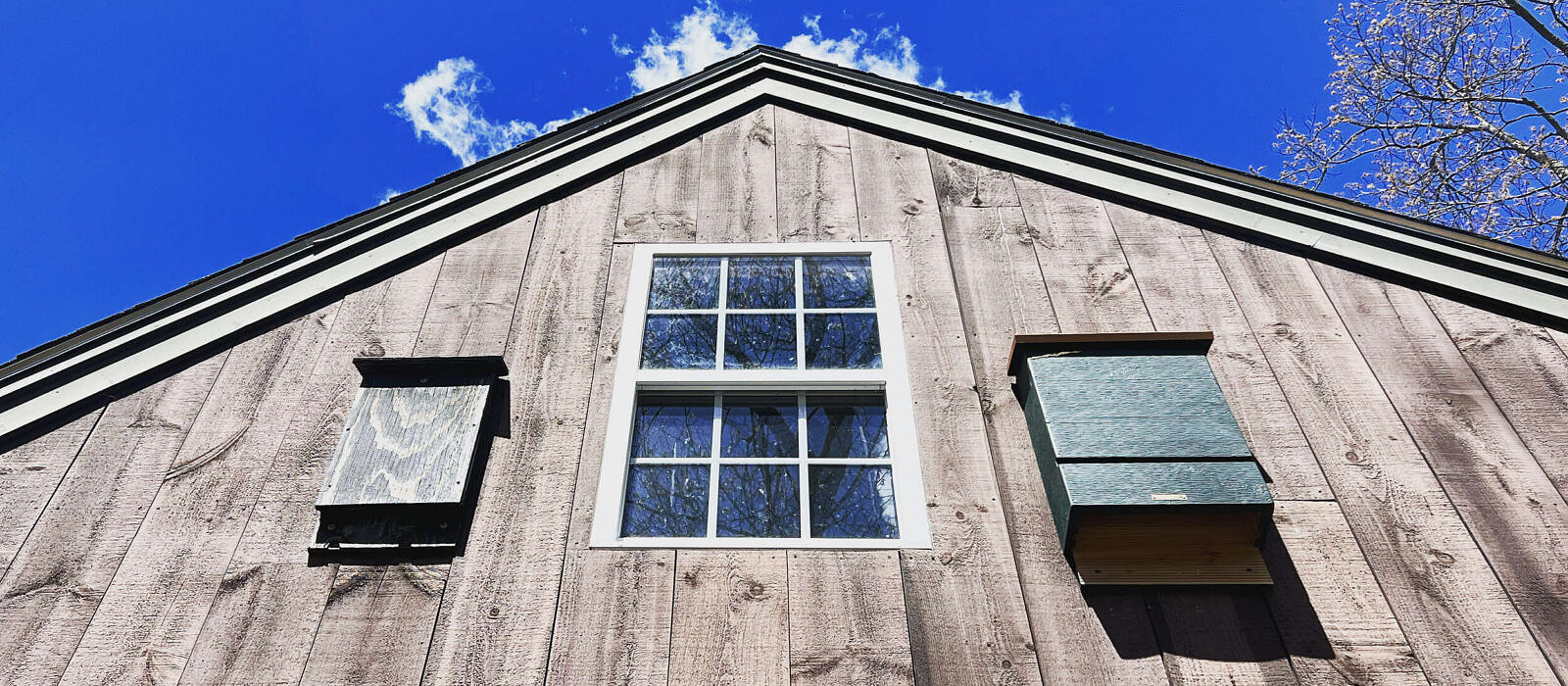 Affordable and easy to install bat houses create critical habitat for many of these important, at-risk animals.  