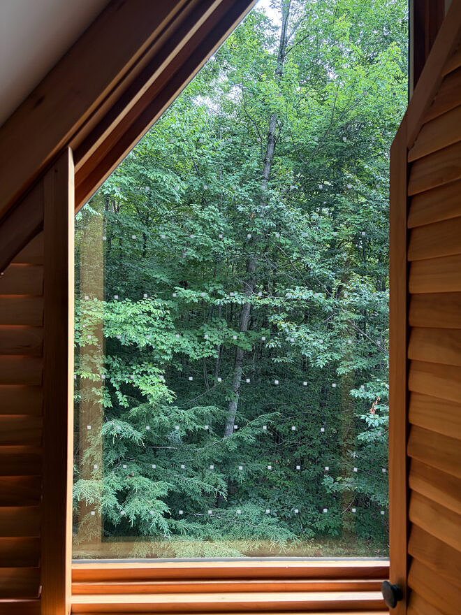 Bird-friendly window decals are highly effective at preventing bird window strikes.