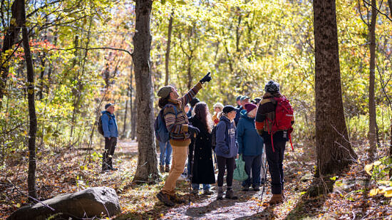 Phil Brown points to a bird in the tree during a MicroExploring hike (photo © Ben Conant)