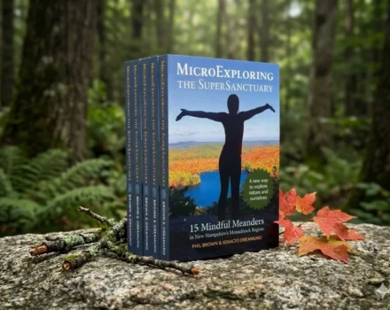 MicroExploring book on a rock in the forest (photo © Ignacio Oreamuno)