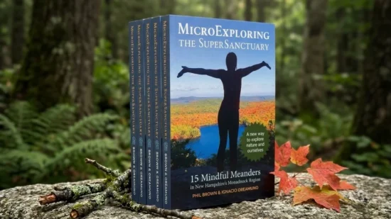 MicroExploring book on a rock in the forest (photo © Ignacio Oreamuno)
