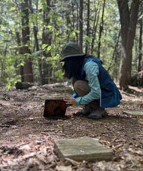 KSC conservation intern Ayushma Limbu surveys a salamander research plot. (photo © Brett Amy Thelen)
