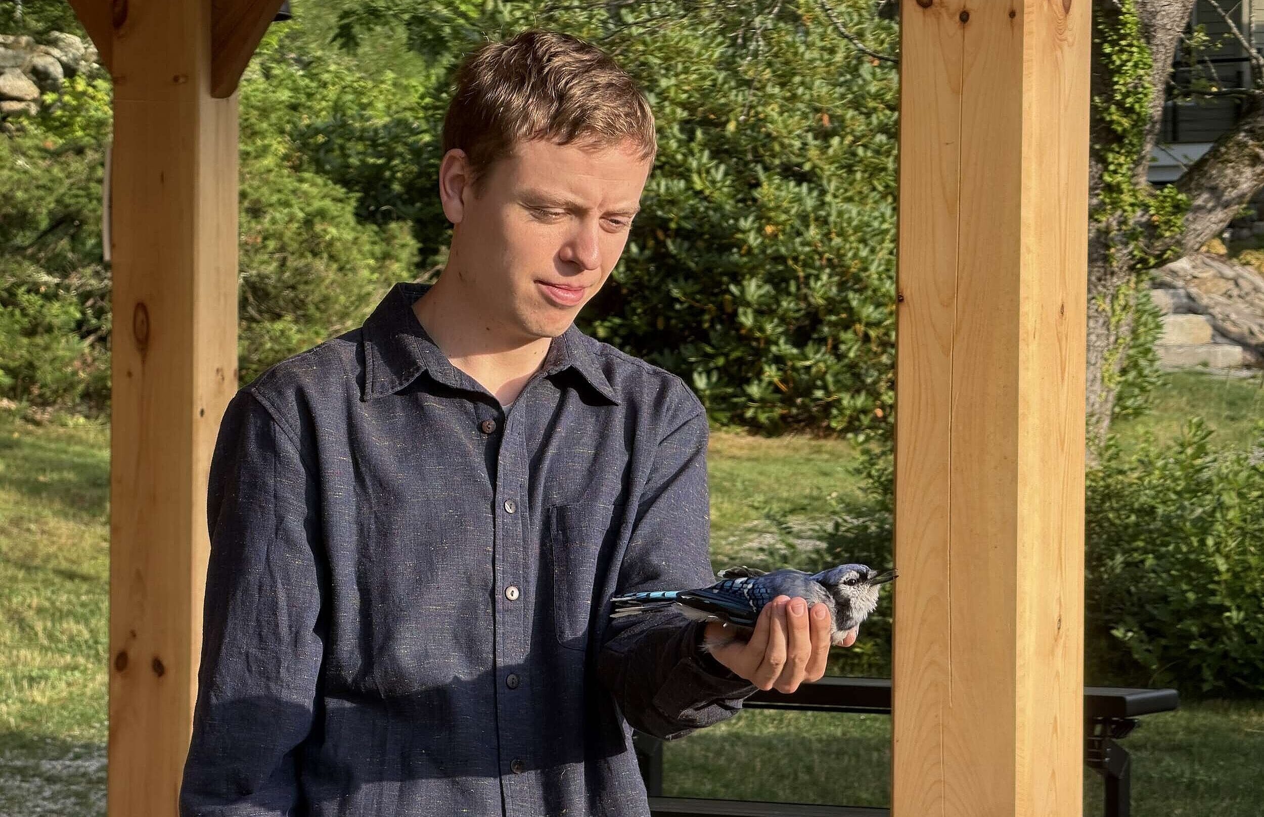 Jens Petersen holds a bluejay during songbird banding at the Harris Center (photo © Phil Brown)