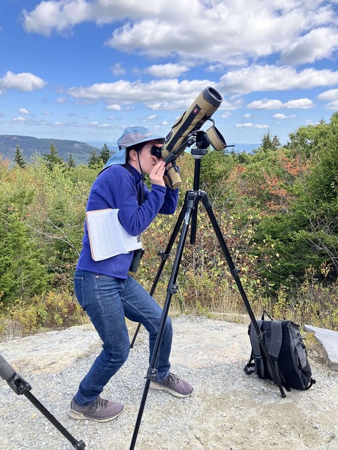 Kate McKay looks through the scope at the Pack Hawkwatch. (photo © Phil Brown)