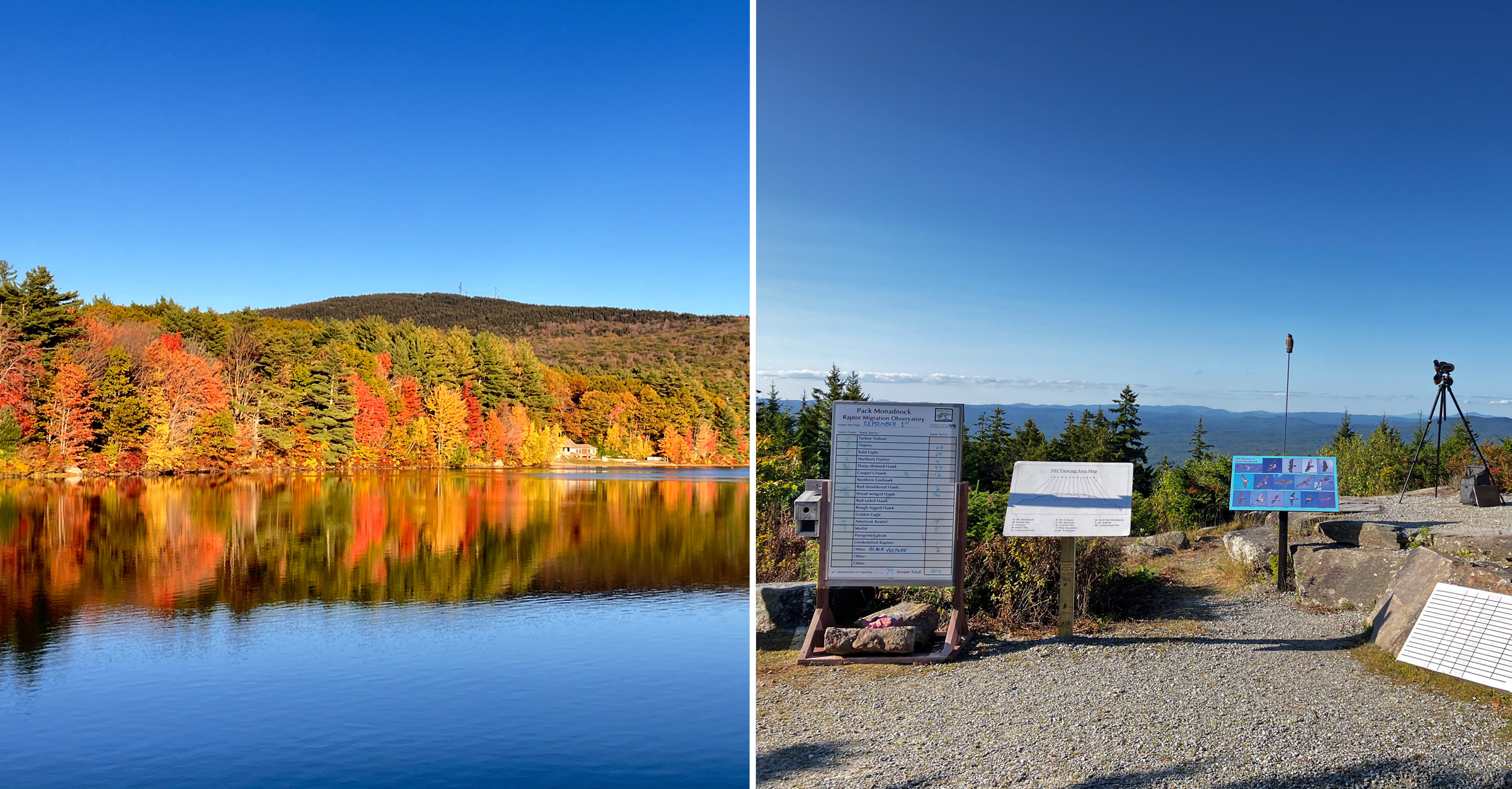 Autumn View of Pack Monadnock from Cummingham Pond and the hawk watch (photo © Kate McKay)