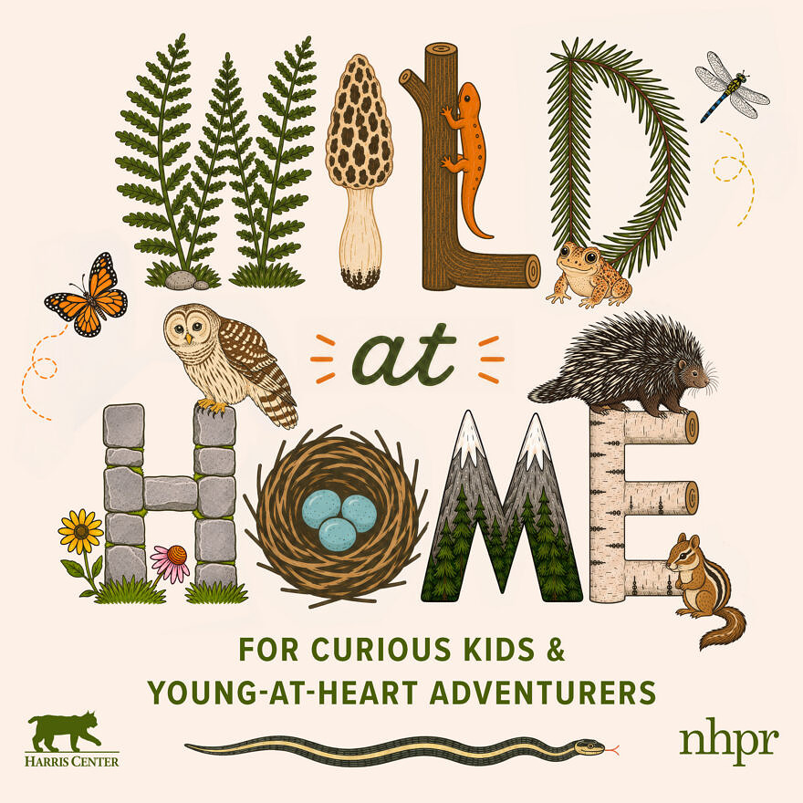 Wild at Home spelled out with nature elements (art by Michelle Aldredge)